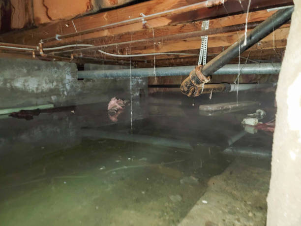 Best Water damage restoration mold remediation  in Lake Sherwood, CA