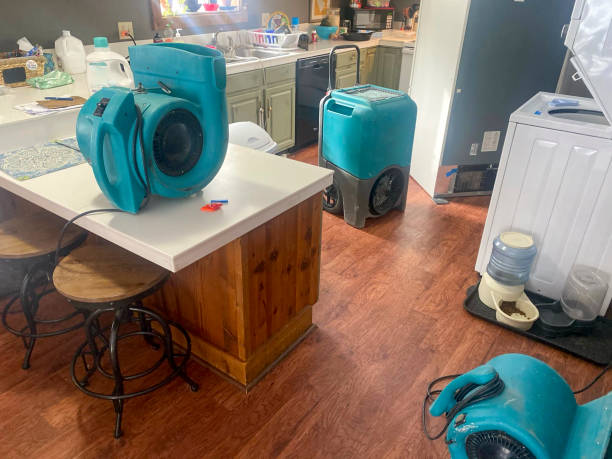  Lake Sherwood, CA Water damage restoration Pros