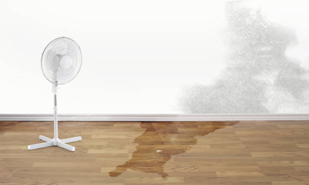 Best Sewage cleanup and water damage restoration  in Lake Sherwood, CA