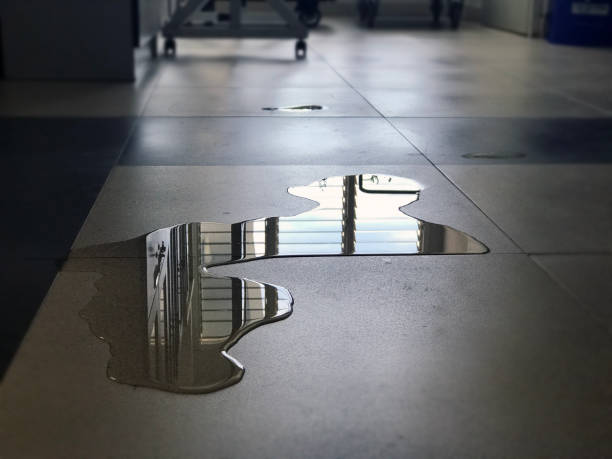 Best 24/7 water damage repair  in Lake Sherwood, CA