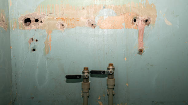 Best Flood restoration services  in Lake Sherwood, CA
